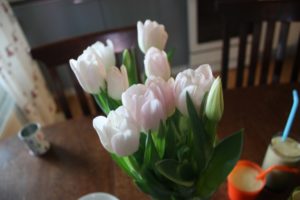 Kevät on jo täällä!