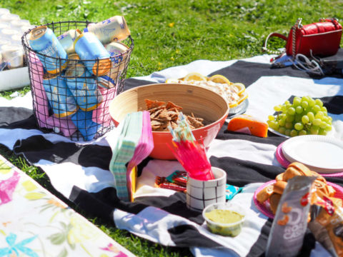 Kesän ensimmäinen piknik