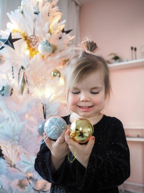 Meidän Itsenäisyyspäivä