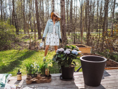 Meidän viljelylaatikoihin istutettavat kasvit