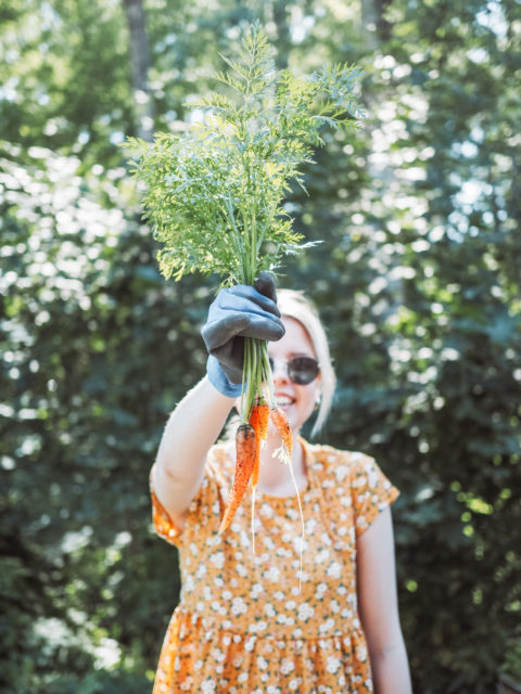 Oman pihan antimia ruokapöydässä – kokemuksia laatikkoviljelystä