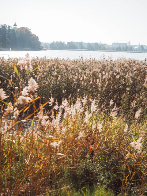 Miksi lasten välistä väkivaltaa edelleen kutsutaan vähätellen kiusaamiseksi?