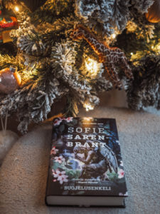 Luukku 7: Kirjalahjat jouluun 2022 – joulun parhaat kirjat